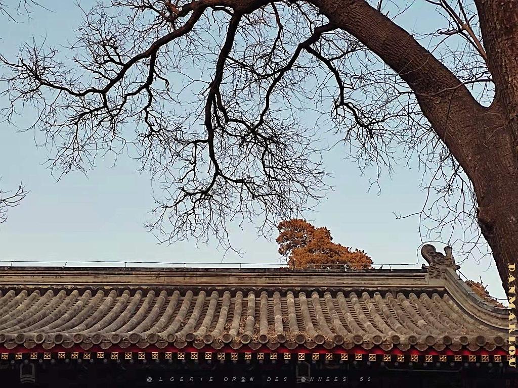 2023 02 05  PEKIN - WANSHOU TEMPLE LONGEVITE BIENVEILLANCE (12).jpg